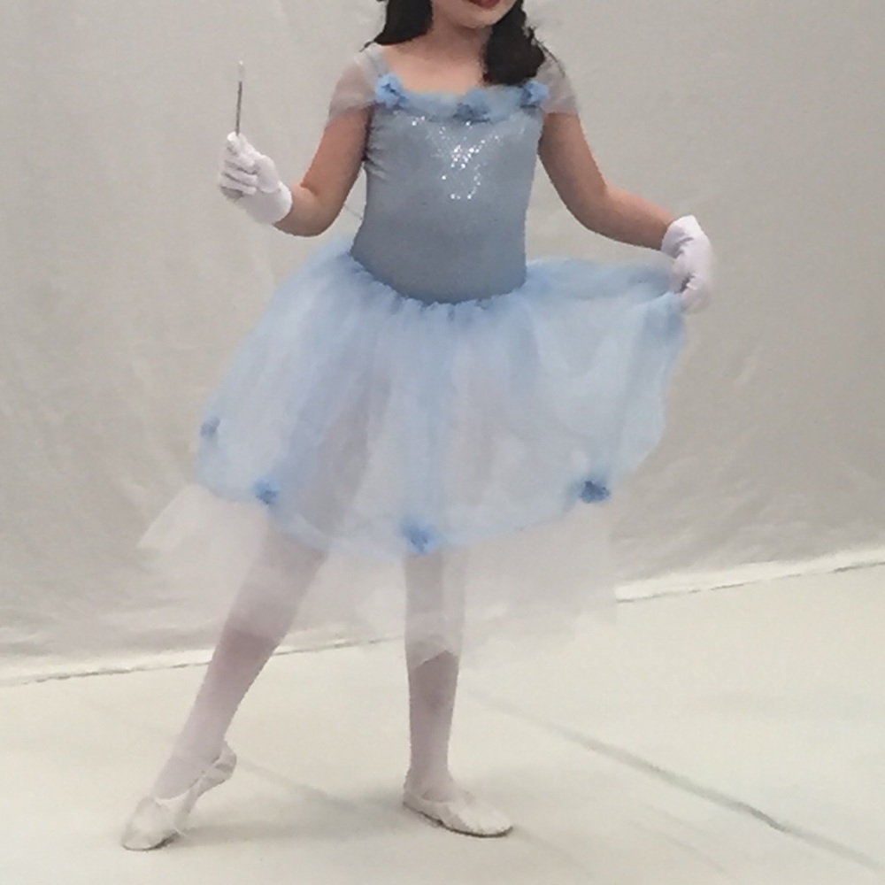 Cinderella Ballet Costume